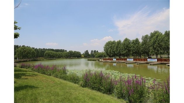 標題：包頭市民公園
瀏覽次數(shù)：1656
發(fā)表時間：2020-10-16
