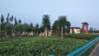 標(biāo)題：張家口經(jīng)開區(qū)腰站堡飲用水源地生態(tài)涵養(yǎng)綠化
瀏覽次數(shù)：2651
發(fā)表時(shí)間：2020-10-16