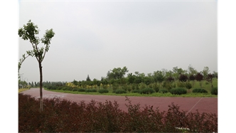 標(biāo)題：大青山南坡生態(tài)修復(fù)
瀏覽次數(shù)：2218
發(fā)表時(shí)間：2020-10-16