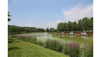 標(biāo)題：包頭市民公園
瀏覽次數(shù)：1740
發(fā)表時(shí)間：2020-10-16
