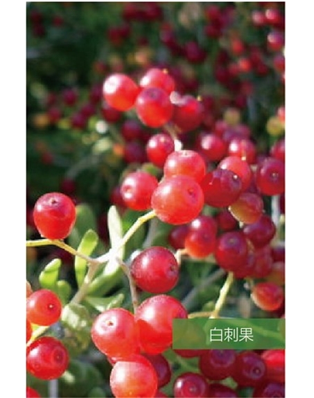 標(biāo)題：名貴樹(shù)種
瀏覽次數(shù)：1605
發(fā)表時(shí)間：2020-10-17