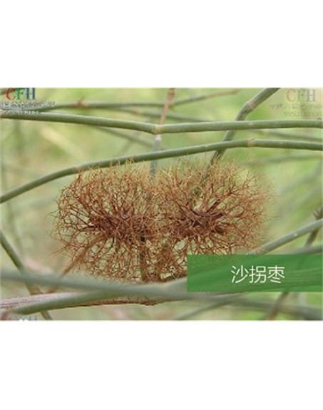 標(biāo)題：名貴樹種
瀏覽次數(shù)：1720
發(fā)表時(shí)間：2020-10-17
