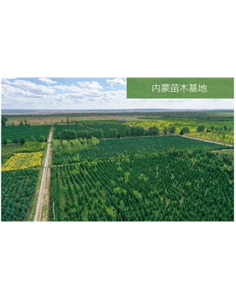 標題：苗木基地
瀏覽次數(shù)：2077
發(fā)表時間：2020-10-17