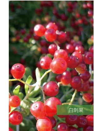 標(biāo)題：名貴樹種
瀏覽次數(shù)：1604
發(fā)表時間：2020-10-17