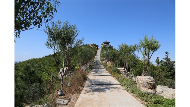 標(biāo)題：張家口太子山山體修復(fù)
瀏覽次數(shù)：18501
發(fā)表時(shí)間：2020-11-12